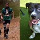 씨월드 피시 이미지