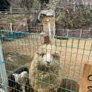 서울목장 이미지