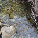 현동축사 이미지