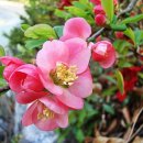 사랑으로 이미지