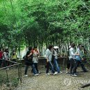 대전상대초교 이미지