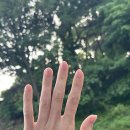정해만 | 📷W3-2.[스튜디오] 웨딩촬영 전 준비기간 및 관리(헤어+네일+제모+다이어트)❌광고❌ ❌협찬❌