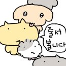 유리드믹스 6-11개월 A 이미지