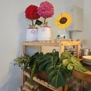 고즈넉이 | 제주도 남원 카페 고즈넉이