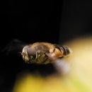 소리귀보청기 이미지