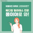 계림체형운동센터 네이버블로그