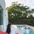 수수미미 이미지