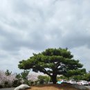 장무공원 화장실 이미지