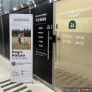 더독스 미니 | 미니비숑 분리불안 문제행동 교정 마곡 독스네이처에서!