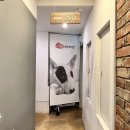 이든펫스파 이미지