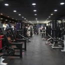 휘트니스 킹콩 이미지