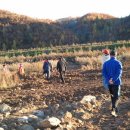 연길농장 이미지