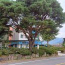 간전파출소 이미지