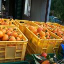 기수농장 이미지