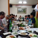 밀양초등학교 Daum카페