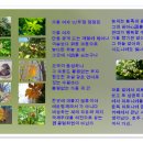 마로니에3 이미지