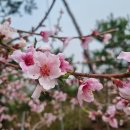 유명농장 이미지