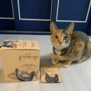 주식회사 비지인터내셔널 이미지