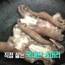 매운곰탕 이미지