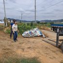 회석농장 이미지