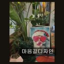 리바트목포. | 목포 소품샵 추천 마음길디자인 감성 가득, 특별한 선물 찾기