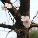 느림의 미학 905 나에게 애인이 생겼어요 이미지