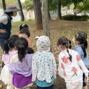 노루유치원 이미지