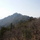 봉양2리마을회관 이미지