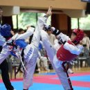 한국체대 승리태권도장 이미지