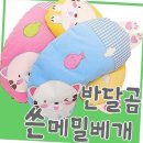 토토이즈 이미지