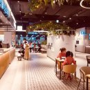 연산트레이더스약국 이미지