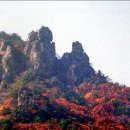샘밭골 Daum카페