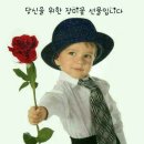 지와이