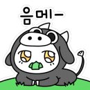 속초카츠