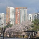 하남문화예술회관 대극장 | 후기 : 권하지 말고 유혹만 할 것 -대극장 검단홀 1층 R석 나열 시야/하남문화예술회관 주차/사전주차정산