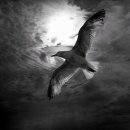 태양무도장 이미지