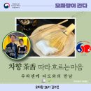하늘빛세차문화공간 | [공지] 차향(茶香) 따라 흐르는 마음 ㅡ 우라센케 다도와의 만남🍵🌿