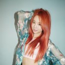 솔지카페