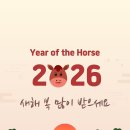 더플러스 복싱 이미지