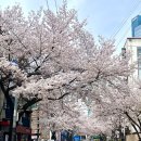 소사2길 | 4월 첫 주말을 이렇게 마무리하네