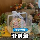 선릉역 23-259정류장 | [부산떡집] 기념일 케이크‼️ 부산 사상 앙금플라워 떡케이크 &#34;카이화&#34; 솔직후기