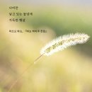 들녘에 이미지