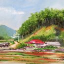 정선이야기 이미지