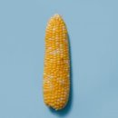 더페이지834 이미지