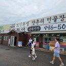 양촌리민물장어 이미지