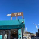 대관령마켓 | 겨울 대관령 양떼목장 여행 - 입장료, 입장시간, 먹이 주기 체험, 강릉에서 가는 방법, 버스 시간표 등