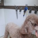 박한준종합동물병원 이미지