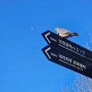 백년식당 서서갈비 | 차이나타운 백년식당 서서갈비 신포점 후기｜가성비 미쳤던 고기집가격 대비 맛·양·서비스까지 다 만족 🥩