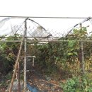 한배미농장 이미지