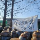 경기도광주 스테이화담 독채펜션 | [공지] 화담숲 숙소 고민 끝! 편백나무 향 가득한 곤지암 독채 펜션 &amp; 발효밥상 한 번에 즐기기